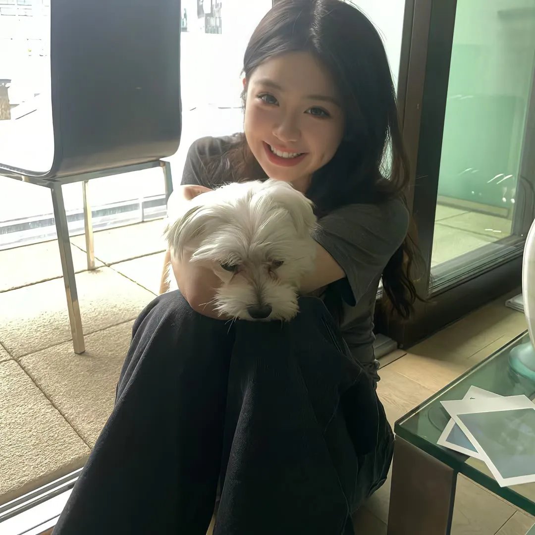新来的美女邻居